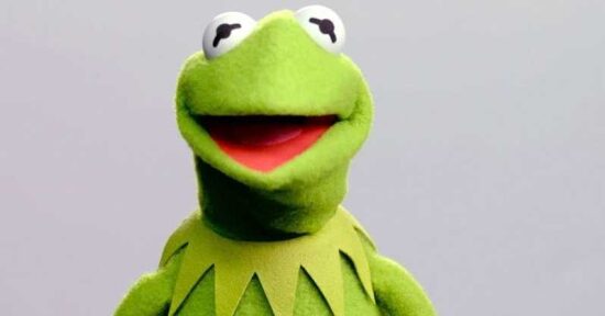 Le roi des grenouilles